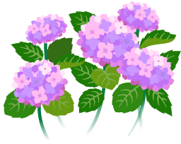 File:Red hydrangea flowers icon.png