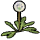 File:Seeding Dandelion icon.png