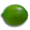 File:Zest Bomb icon.png