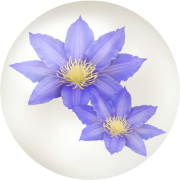 File:Blue clematis nectar icon.png