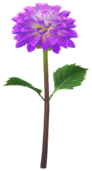 File:Blue dahlia Big Flower icon.png