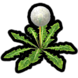 File:Seeding Dandelion P2S icon.png