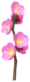 Red plum blossom Big Flower icon.png