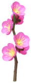 File:Red plum blossom Big Flower icon.png
