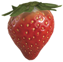 File:Sunseed berry.png
