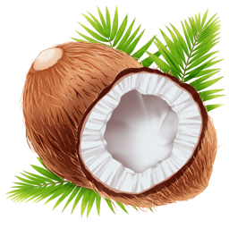 File:Tropical Coconut icon.png