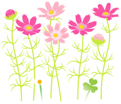 File:Red cosmos flowers icon.png