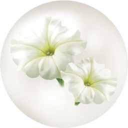 File:White petunia nectar icon.png
