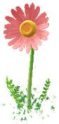 Red Big Flower icon.png