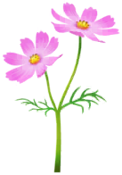 File:Red cosmos Big Flower icon.png