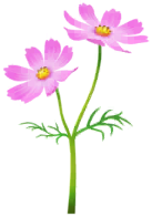 File:Red cosmos Big Flower icon.png