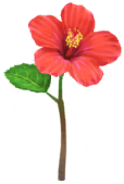 Red hibiscus Big Flower icon.png
