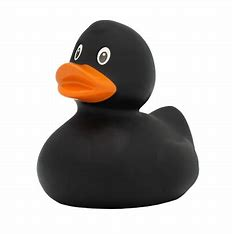 File:Black Rubber Duck.png