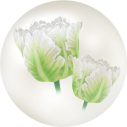 File:White parrot tulip nectar icon.png