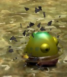 File:Yellow wollywog breaking out of petrification.jpg