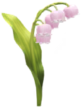 File:Red convallaria Big Flower icon.png