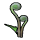 Fiddlehead icon.png