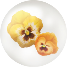 File:Yellow pansy nectar icon.png