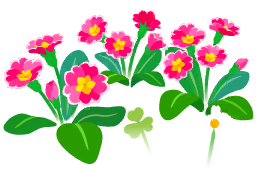 File:Red primrose flowers icon.png
