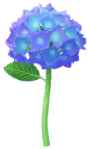 Blue hydrangea Big Flower icon.