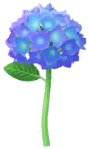 File:Blue hydrangea Big Flower icon.png