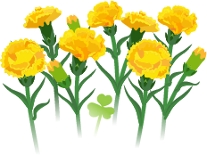 File:Yellow carnation flowers icon.png