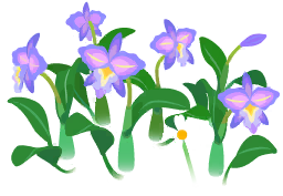 File:Blue cattleya flowers icon.png