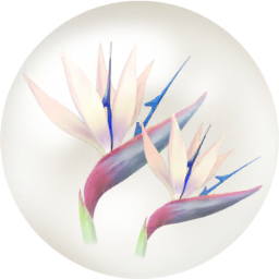File:White strelitzia nectar icon.png