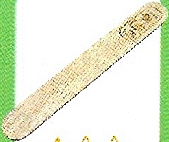 File:P2 Family Raft Artwork.png