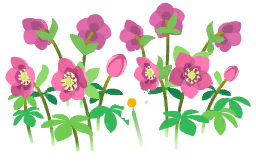 File:Red helleborus flowers icon.png