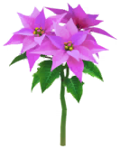 File:Blue poinsettia Big Flower icon.png