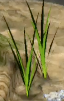 File:Spiked Grass.png