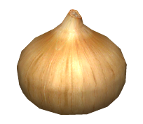 Artwork of the Onion Replica.