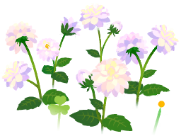 File:White dahlia flowers icon.png