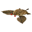 Desiccated Skitter Leaf icon.png