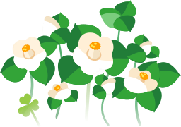 File:White camellia flowers icon.png