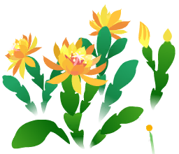 File:Yellow orchid cactus flowers icon.png