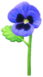 File:Blue pansy Big Flower icon.png