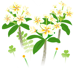 File:White frangipani flowers icon.png