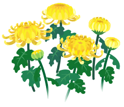 File:Yellow mum flowers icon.png