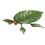 Skitter Leaf P3 icon.png