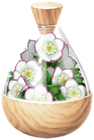 File:White helleborus petals icon.png