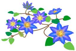 File:Blue clematis flowers icon.png