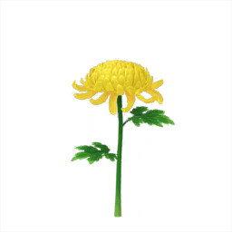 File:Yellow mum Big Flower icon.png