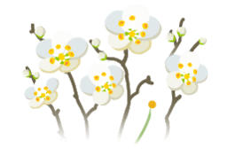 File:White plum blossom flowers icon.png