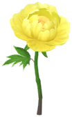 File:Yellow peony Big Flower icon.png