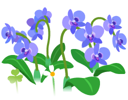 File:Blue moth orchid flowers icon.png