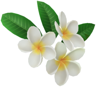 File:PB Mii part Frangipani Hair Accessory (White) icon.png