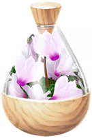 File:White cyclamen petals icon.png