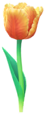 File:Yellow parrot tulip Big Flower icon.png